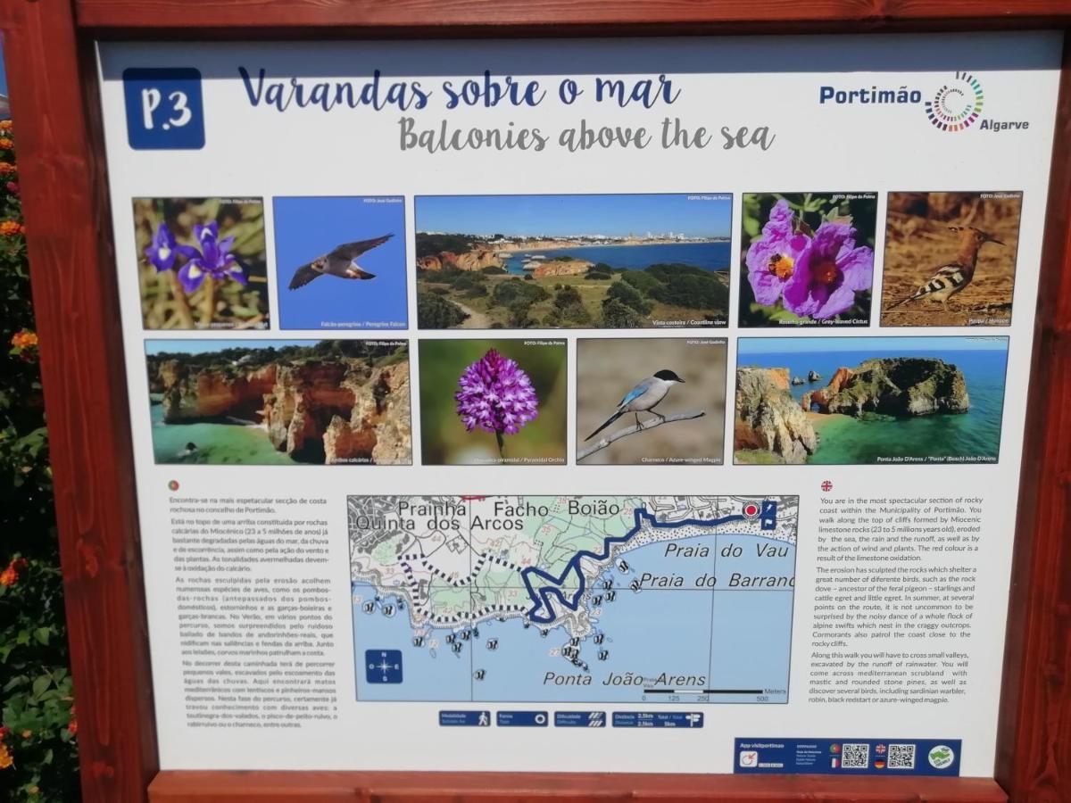Vau Sea View, T2 Apartment, Close To Beach,Ideal For Families Portimão Exteriör bild
